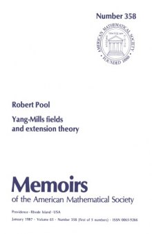 Yang-Mills Fields and Extension Theory