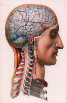 Atlas of Human Anatomy and Surgery. Nevrologia