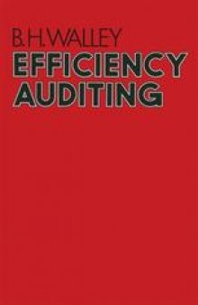 Efficiency Auditing