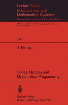 Cones, Matrices and Mathematical Programming