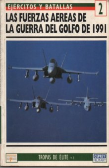 Las fuerzas aereas de la Guerra del Golfo de 1991