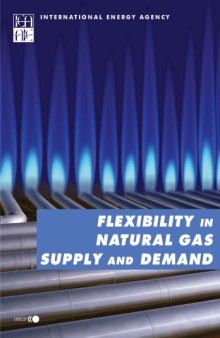 Flexibility in Natural Gas Supply and Demand.
