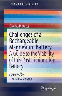  Challenges of a Rechargeable Magnesium Battery: A Guide to the Viability of this Post Lithium-Ion Battery