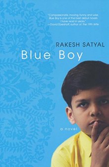 Blue Boy. A novel