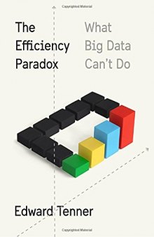 The Efficiency Paradox: What Big Data Can’t Do