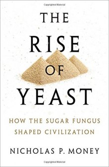 The Rise of Yeast: How the sugar fungus shaped civilisation