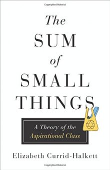 The Sum of Small Things: A Theory of the Aspirational Class