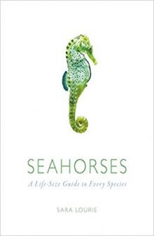 More info Web results Seahorses: A Life-Size Guide to Every Species
