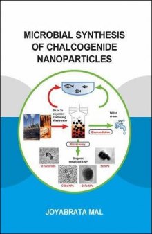 Microbial Synthesis of Chalcogenide Nanoparticles: Combining Bioremediation and Biorecovery of Chalcogen in the Form of Chalcogenide Nanoparticles