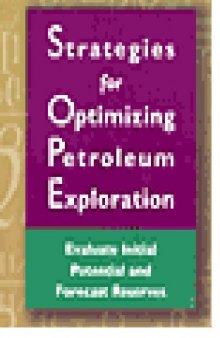 Strategies for Optimizing Petroleum Exploration