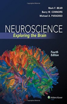 Neuroscience - Exploring the Brain