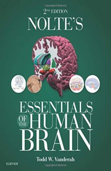 Nolte’s Essentials of the Human Brain