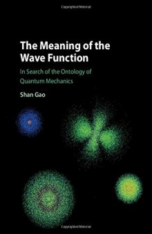 The Meaning of the Wave Function: In Search of the Ontology of Quantum Mechanics