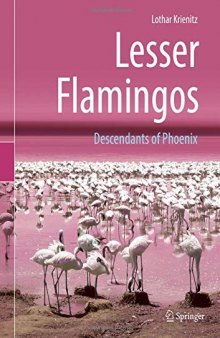 Lesser Flamingos: Descendants of Phoenix
