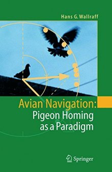 Avian Navigation. Pigeon Homing as a Paradigm