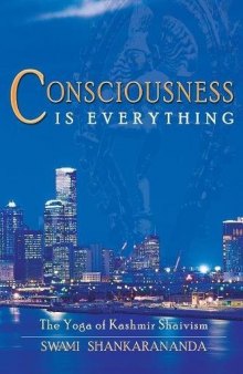 Consciousness Is Everything: The Yoga of Kashmir Shaivism