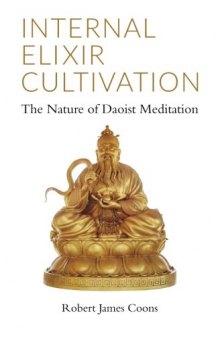 Internal Elixir Cultivation: The Nature of Daoist Meditation