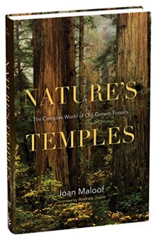 Nature’s Temples: The Complex World of Old-Growth Forests