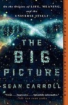 The big picture : on the origins of life, meaning, and the universe itself