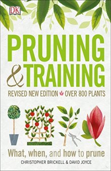 Pruning and Training: What, When, and How to Prune