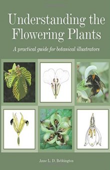 Understanding the Flowering Plants A Practical Guide for Botanical Illustrators