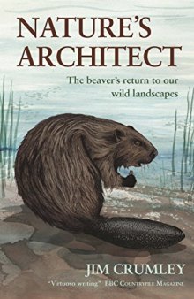 Nature’s Architect: The Beaver’s Return to Our Wild Landscapes