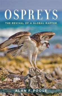 Ospreys: A Complete Guide to Their Biology, Behavior, and Conservation