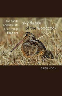 Sky Dance of the Woodcock: The Habits and Habitats of a Strange Little Bird