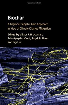 Biochar: A Regional Supply Chain Approach in View of Climate Change Mitigation