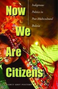 Now We Are Citizens: Indigenous Politics in Postmulticultural Bolivia