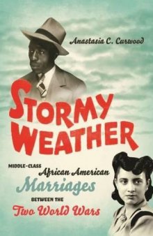 Stormy Weather: Middle-Class African American Marriages between the Two World Wars