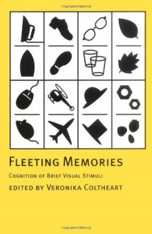 Fleeting Memories: Cognition of Brief Visual Stimuli