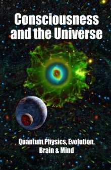 Consciousness and the Universe: Quantum Physics, Evolution, Brain & Mind