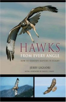 Hawks from Every Angle: How to Identify Raptors in Flight