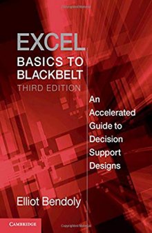 Excel Basics to Blackbelt: An Accelerated Guide to Decision Support Designs