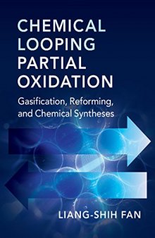 Chemical Looping Partial Oxidation: Gasification, Reforming, and Chemical Syntheses