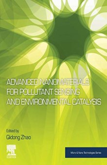 Advanced Nanomaterials for Pollutant Sensing and Environmental Catalysis (Micro and Nano Technologies)