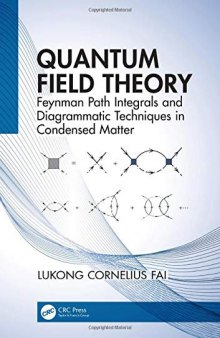 Quantum Field Theory: Feynman Path Integrals and Diagrammatic Techniques in Condensed Matter
