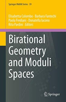 Birational Geometry and Moduli Spaces (Springer INdAM Series)