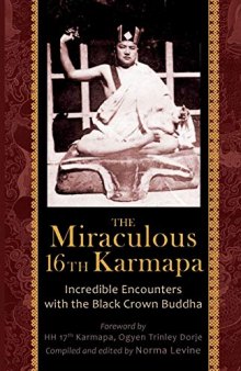The Miraculous 16th Karmapa: Incredible Encounters with the Black Crown Buddha