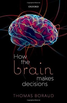 How the Brain Makes Decisions