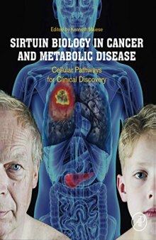 Sirtuin Biology in Cancer and Metabolic Disease: Cellular Pathways for Clinical Discovery
