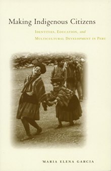 Making Indigenous Citizens: Identity, Development, and Multicultural Activism in Peru: Identities, Education, and Multicultural Development in Peru