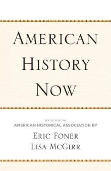 American History Now (Critical Perspectives on the Past Series)
