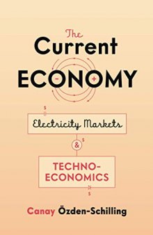 The Current Economy: Making Energy and Markets in the United States