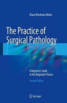 The Practice of Surgical Pathology : a Beginner's Guide to the Diagnostic Process