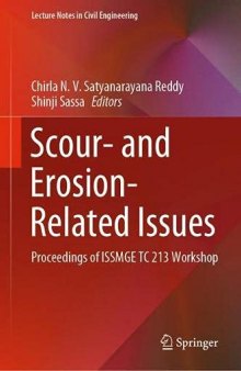 Scour- and Erosion-Related Issues: Proceedings of ISSMGE TC 213 Workshop