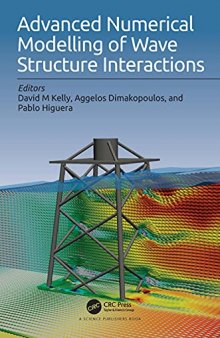 Advanced Numerical Modelling of Wave Structure Interaction