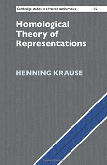 Homological Theory of Representations