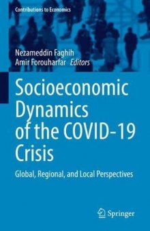 Socioeconomic Dynamics of the COVID-19 Crisis: Global, Regional, and Local Perspectives